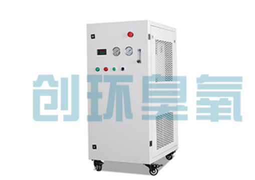 三河石斑鱼养殖水质调控完整指南:臭氧发生器配置与操作步骤