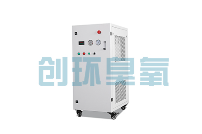 三河比传统换水更高效?臭氧发生器在石斑鱼养殖中的水质净化原理解析